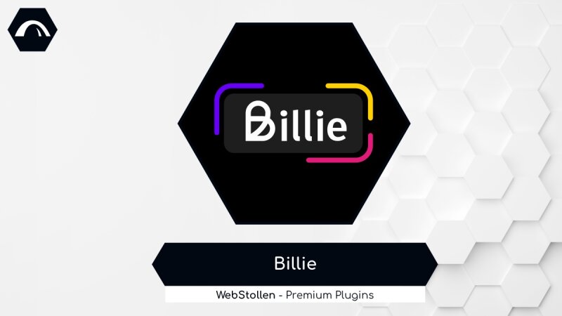 Billie B2B-Zahlungslösung